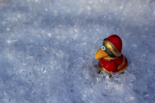 Hintergrundbild - Weihnachten Kleiner Vogel auf Wanderung