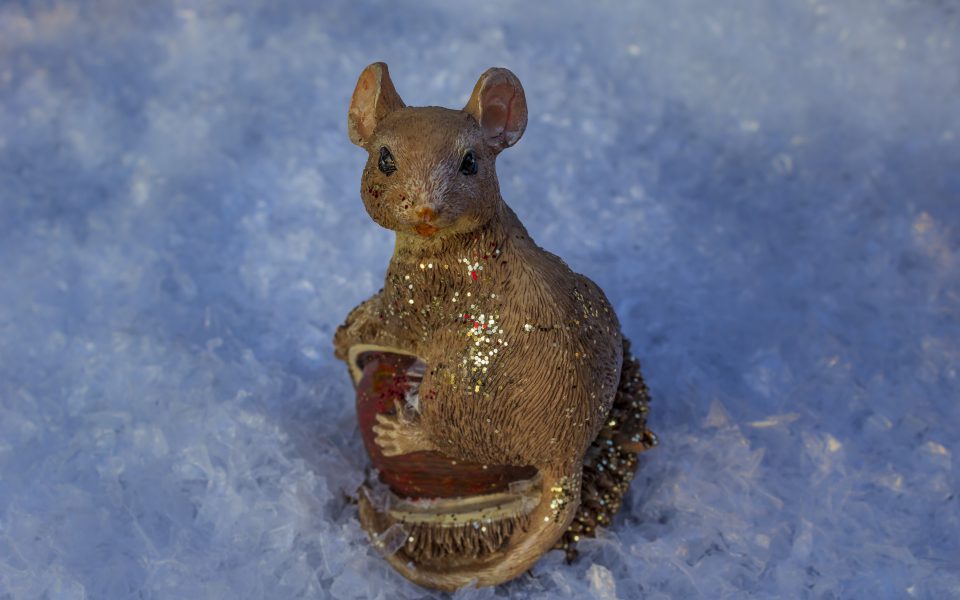 Hintergrundbild - Weihnachten Maus im Schnee