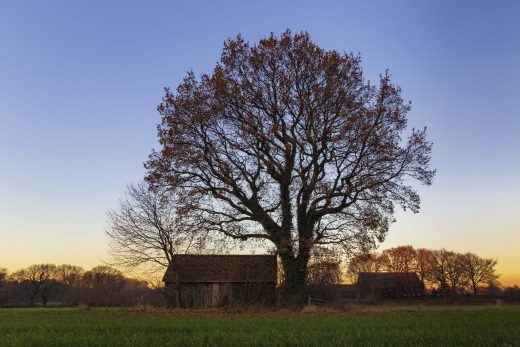 Hintergrundbilder - Baum mit Hütte im Winter