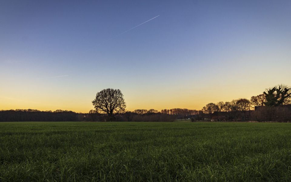 Hintergrundbilder - Natur pur im Ruhrgebiet