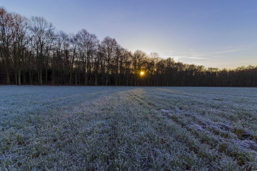 Hintergrundbilder - Sonnenuntergang Möllers Bruch
