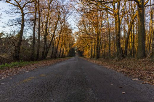 Hintergrundbilder - Straße durch Möllers Bruch