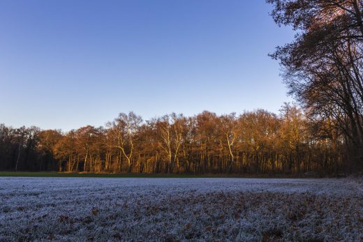 Hintergrundbilder - Winterlandschaft in Gladbeck