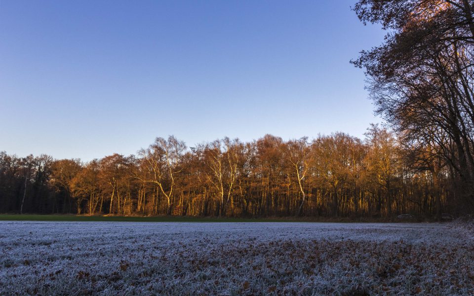 Hintergrundbilder - Winterlandschaft in Gladbeck