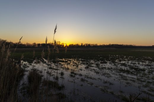 Hintergrundbilder - Sonnenuntergang Hervester Bruch