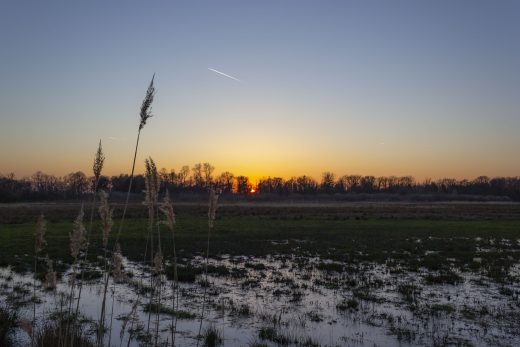 Hintergrundbilder - Sonnenuntergang über Feuchtwiesen