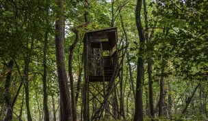 Hintergrundbild Der Ansitz