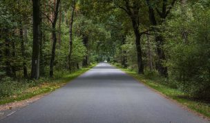 Hintergrundbild Durch den Wald
