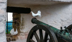 Hintergrundbild Kanone mit Tauben