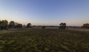 Hintergrundbild Abendstimmung in der Westruper Heide