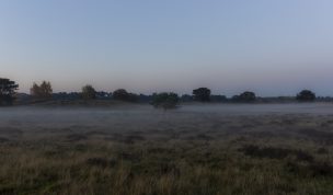 Hintergrundbild Novemberabend in der Heide