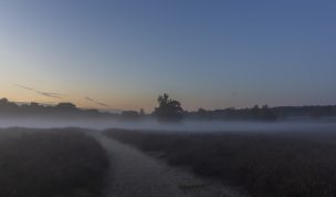 Hintergrundbild Westruper Heide - Weg in den Nebel