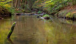 Hintergrundbild Bach im Herbst