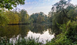 Hintergrundbild Schlosspark Raesfeld