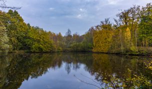 Hintergrundbild See im Schlosspark