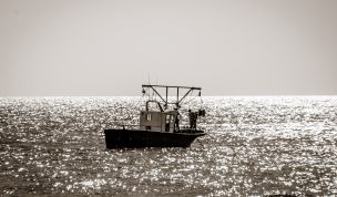 Hintergrundbild Muschelfischer