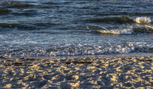 Hintergrundbild Am Ostseestrand