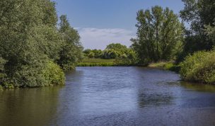 Hintergrundbild Kleiner Teich an der Kuhbrücksau