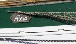 Hintergrundbild Haikutter Alexa