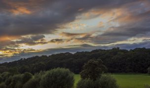 Hintergrundbild - Abends am Ufer der Ruhr