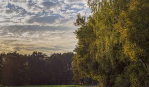 Hintergrundbild - Am Feldrand im Herbst