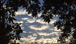 Hintergrundbild - Herbstlicher Abendhimmel