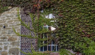 Hintergrundbild - Fenster der Tüshaus Mühle