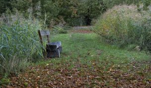 Hintergrundbild - Sitzbank am Mühlteich