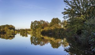 Hintergrundbild - Mühlteich der Tüshaus Mühle