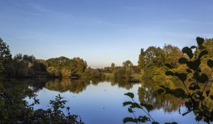 Hintergrundbild - Spiegelungen auf dem Mühlteich