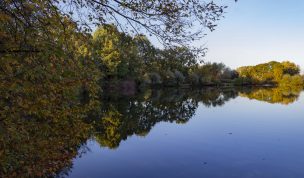Hintergrundbild - Spiegelungen im Wasser
