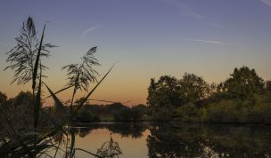 Hintergrundbild - Abendstimmung am Mühlteich
