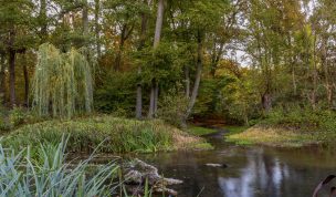 Hintergrundbild - Unterwasser der Tüshaus Mühle