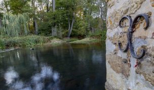 Hintergrundbild - Blick ins Unterwasser