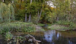 Hintergrundbild - Mühlbach mit Unterwasser