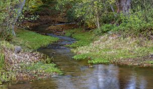 Hintergrundbild - Mühlenbach am Unterwasser