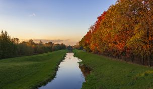 Hintergrundbild - Herbstfarben am Bach