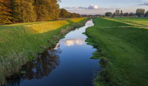 Hintergrundbild - Spiegelungen im Bach