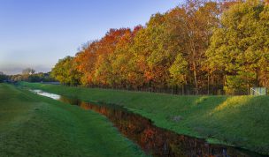 Hintergrundbild - Herbststimmung am Bach