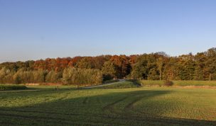 Hintergrundbild - Wald und Felder im Herbst