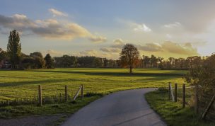 Hintergrundbild - Felder im Abendlicht