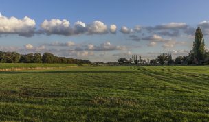 Hintergrundbild - Wunderschöne Herbststimmung