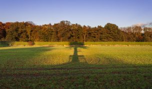 Hintergrundbild - Schattenspiele im Herbst