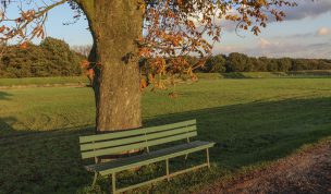 Hintergrundbild - Bank zum Ausruhen