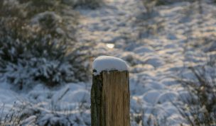 Hintergrundbild - Weidepfosten mit Schnee