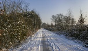 Hintergrundbild - Verschneiter Weg