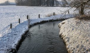 Hintergrundbild - Blick auf den Wienbach