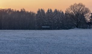 Hintergrundbild - Wintermorgen am Waldrand