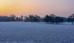 Hintergrundbild - Wintermorgen mit Morgenröte
