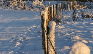 Hintergrundbild - Weidezaun im Winter